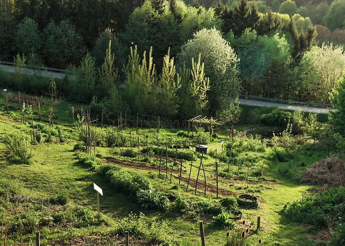 Falkensteiner Balance Resort Stegersbach - Adults only