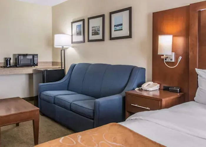 Comfort Suites Wixom - Novi