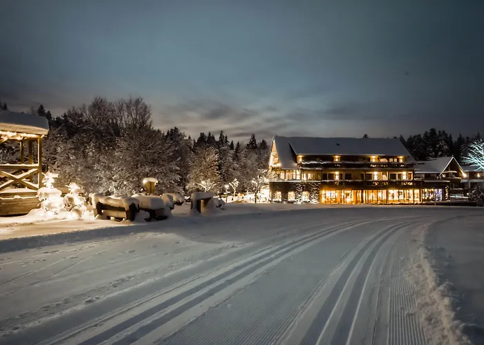 Hotel Grüner Wald