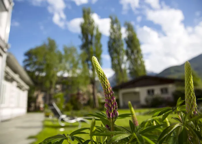 Boutique Hotel Bellevue