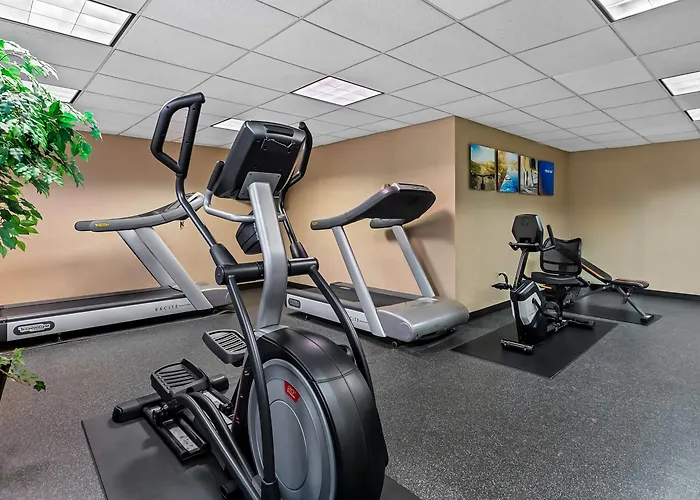 Comfort Inn&Suites Somerset - New Brunswick