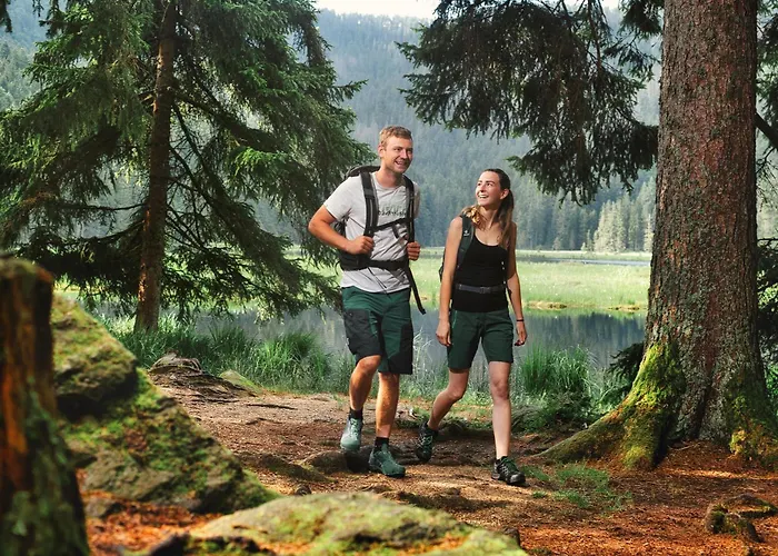 Berghotel Mooshütte Naturidyll auf 950m