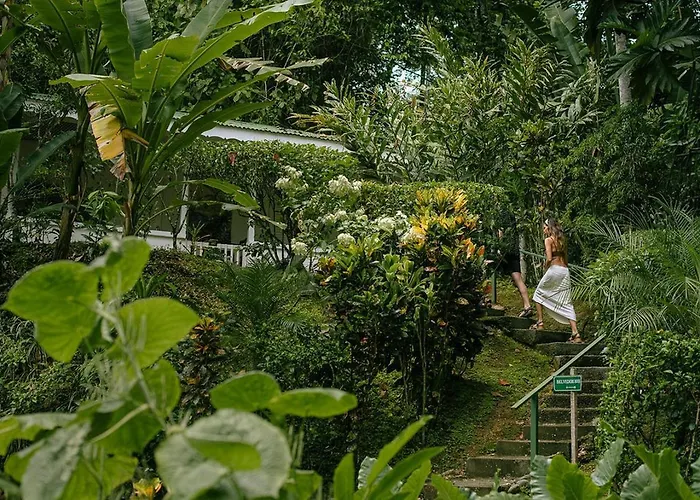 Colina Secreta - Glamping And Villas
