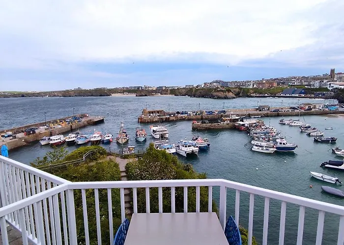 The Harbour