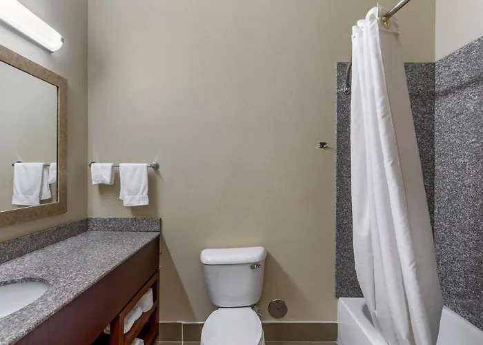 Comfort Inn & Suites Carbondale University Area