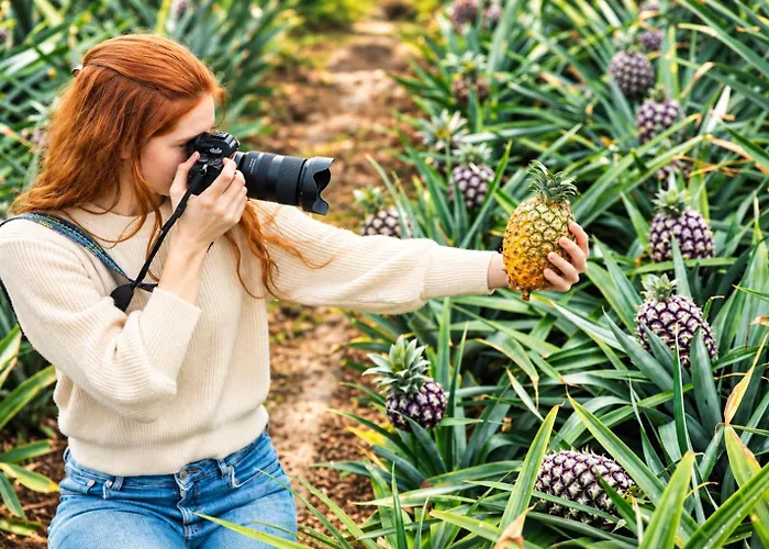 Herdade Do Ananas