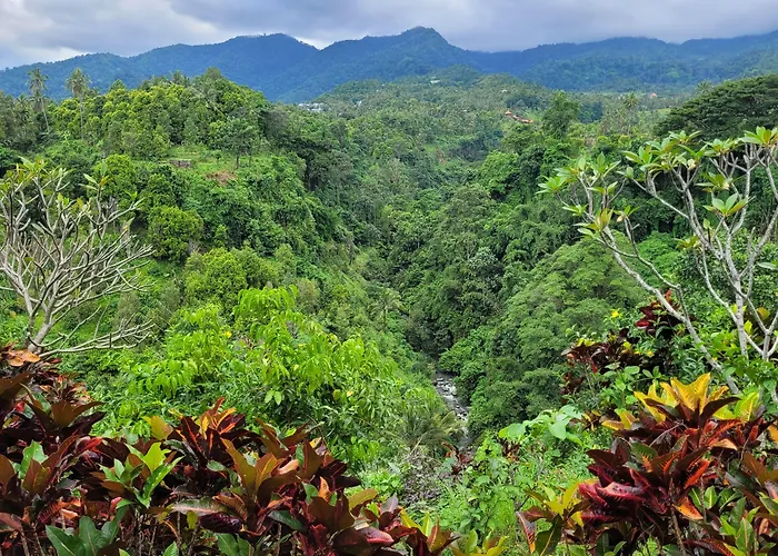 Shanti Natural Panorama View Hotel