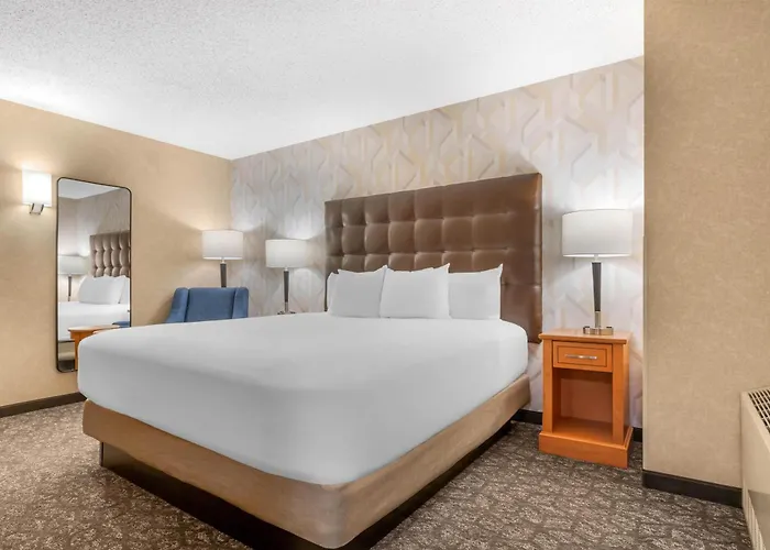 Drury Plaza Hotel St Louis Union Station