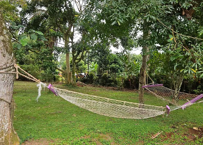 Philo Leisure Gardens