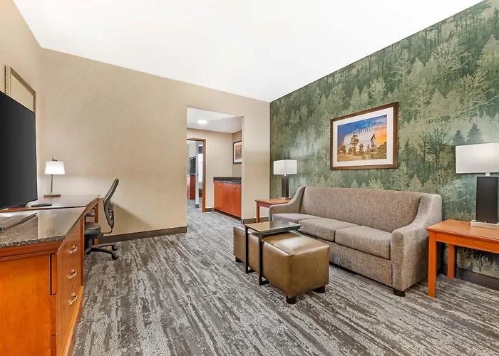 Drury Plaza Hotel Colorado Springs Near The Air Force Academy