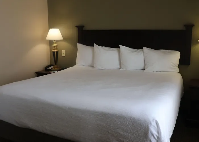 Wingate By Wyndham Peoria - Complimentary Area Shuttle