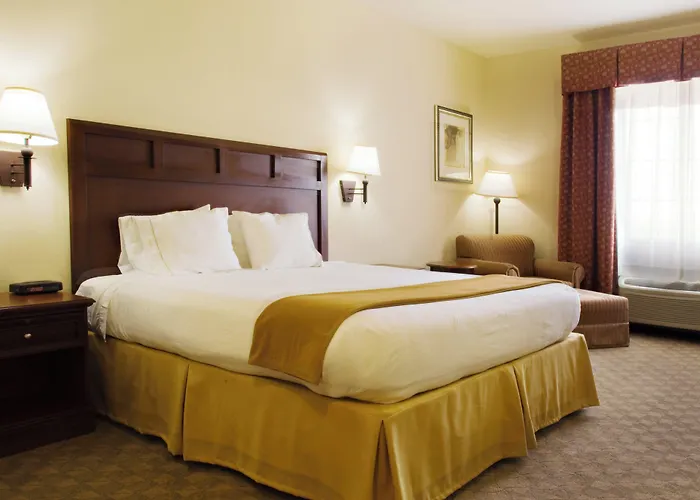 Holiday Inn Express & Suites Levelland By Ihg