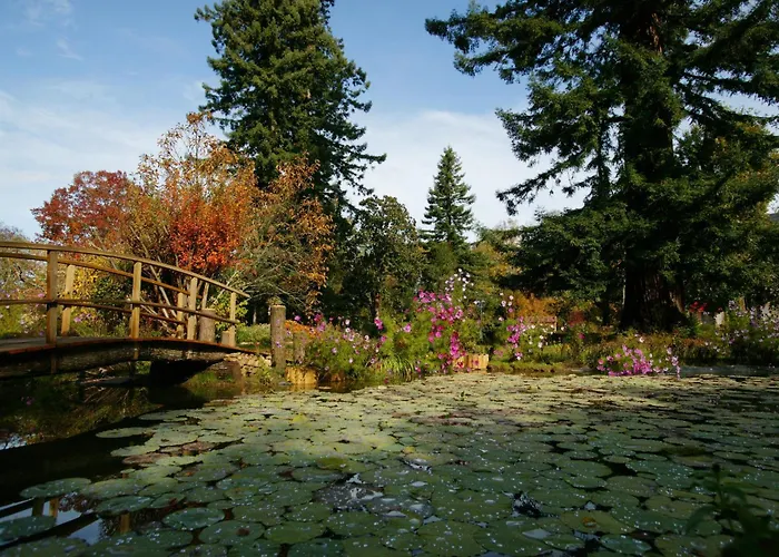 Le Manoir De Bellerive