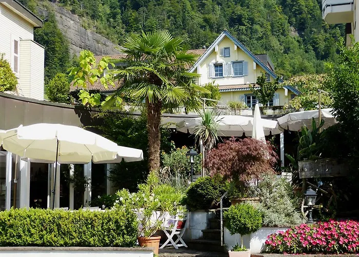 Hotel Rigi Vitznau