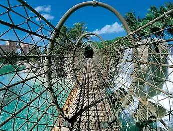 Atlantis Paradise Island