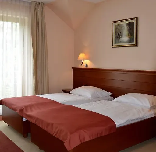 Hotel Mladimir