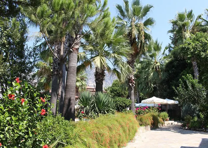 Nirvana Hotel