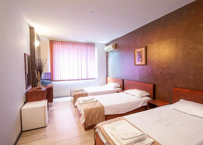 Hotel Zara Rooms
