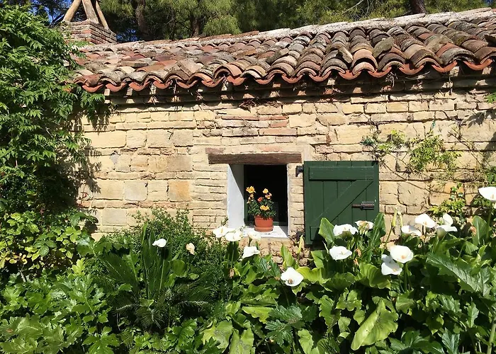Il Colle Delle Terrazze