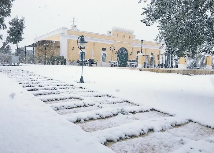 Tenuta Orsanese