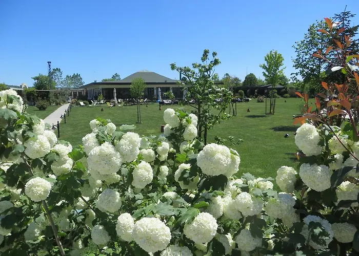 Riva'S Club Hotel