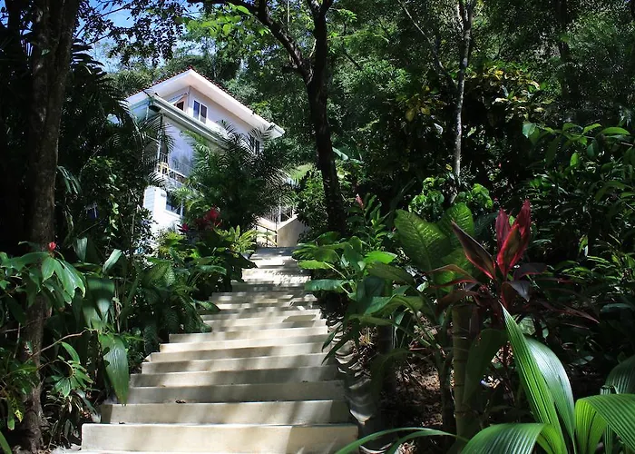 Funky Monkey Lodge