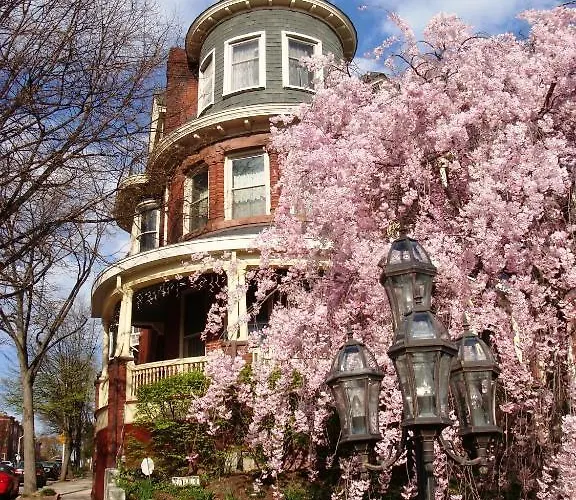 Wilson House Bed & Breakfast