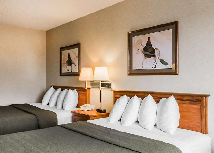 Quality Inn & Suites Montrose - Black Canyon Area