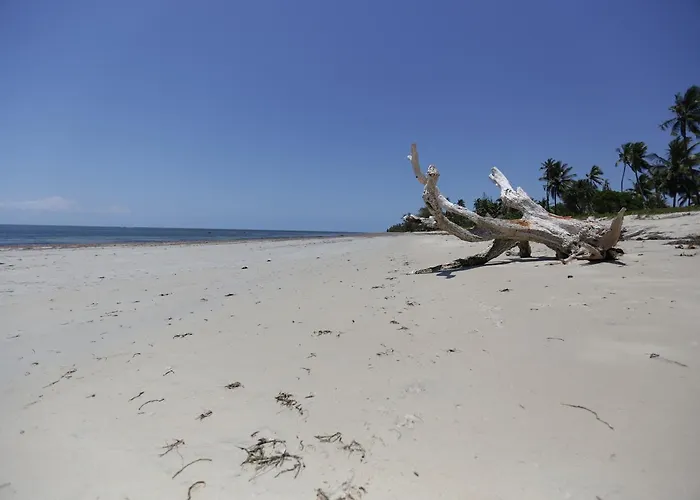 The Beach Crab Resort