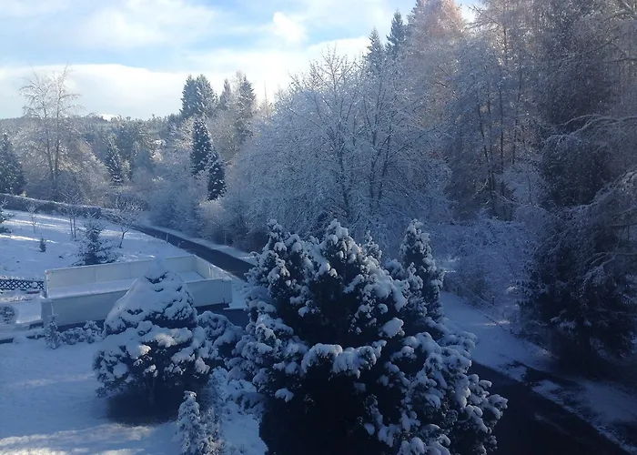 Hotel Waldsee