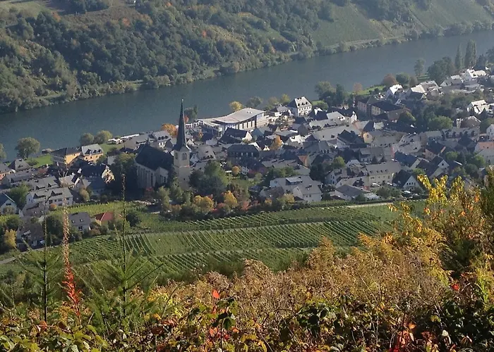 Hotel Springiersbacher-Hof