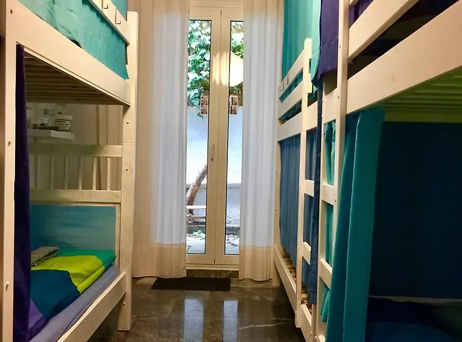 Flower Garden