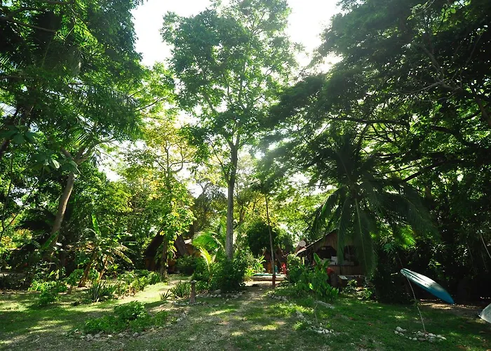 Howler Monkey Hotel