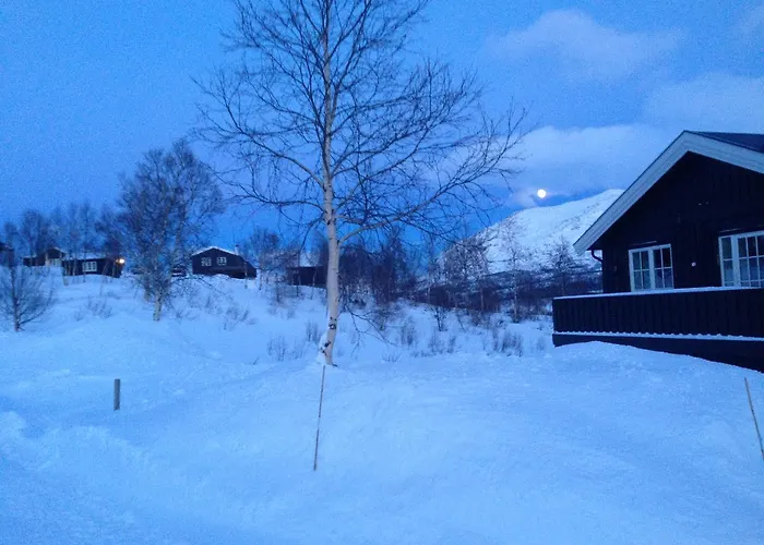 Bessheim Fjellstue Og Hytter