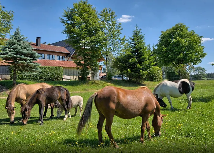 Landgasthof Zum Schwanen