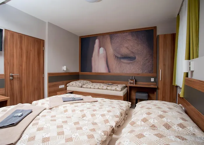 Hotel U Kone
