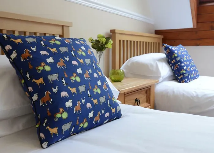 Neuadd Henllan Lodge