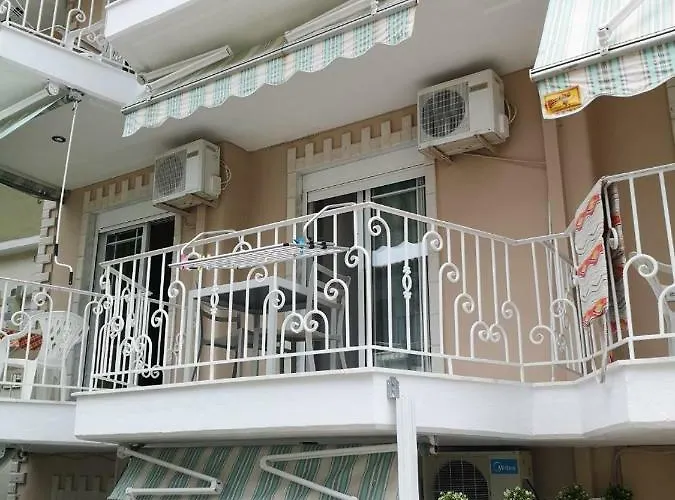 Gatos House 2