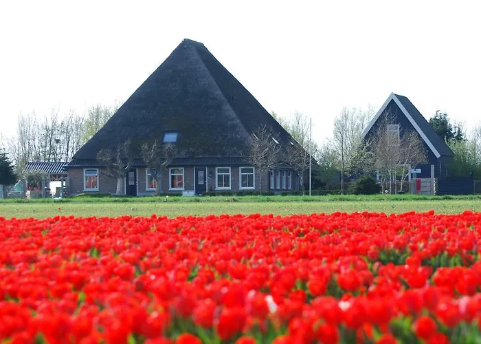 B&B Idylle Aan Zee Incl 2 Wellnessstudios