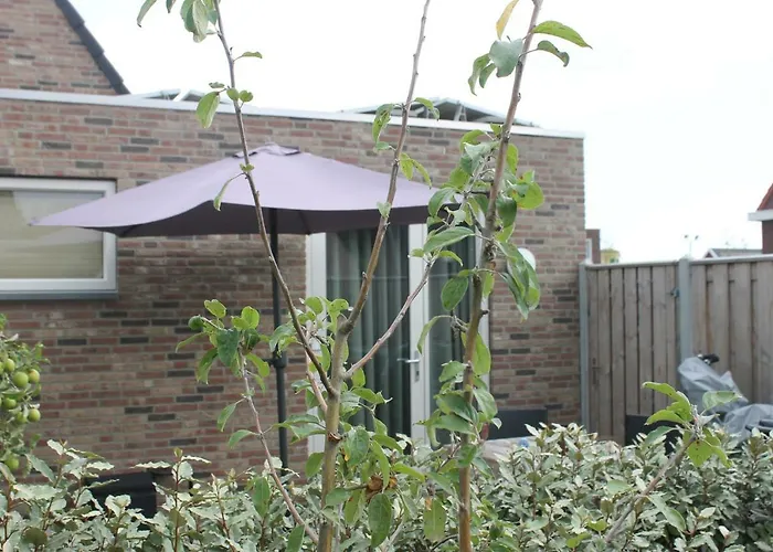 Zon Zee Zoutelande