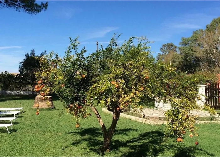 Yiouli Holiday Home
