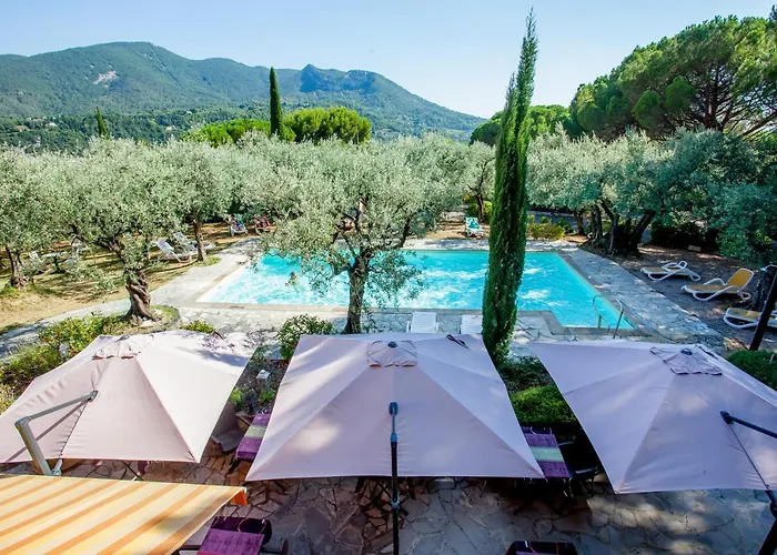 La Picholine En Provence