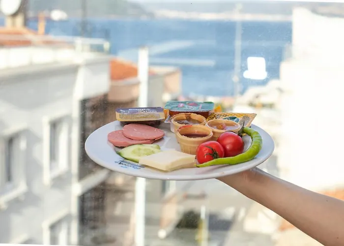 Hotel Pelit