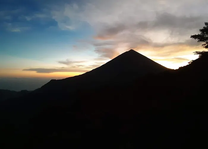 Manulalu Jungle