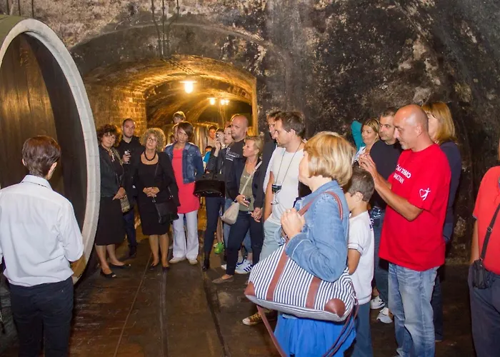 Hotel Stari Podrum