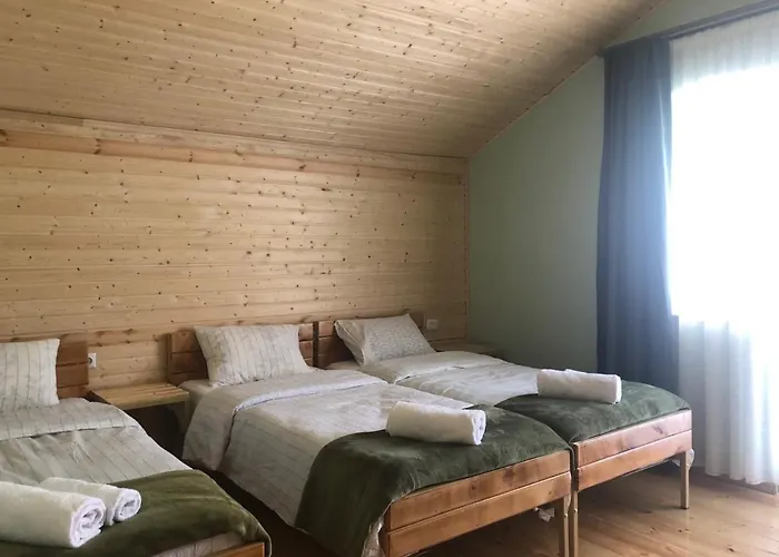 Cozy Place In Kazbegi