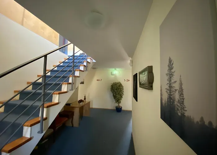 Hotel Hirschen Hinwil