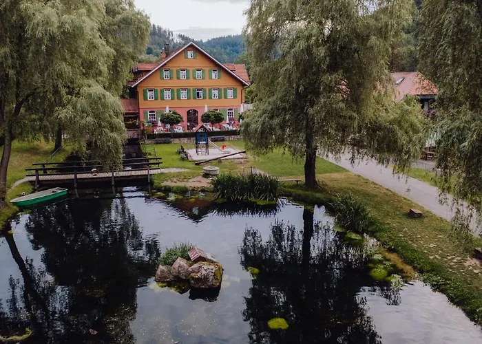Hotel Zur alten Mühle
