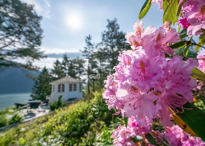 Dragsvik Fjordhotel (Adults Only)