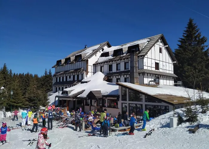Masinac Kopaonik